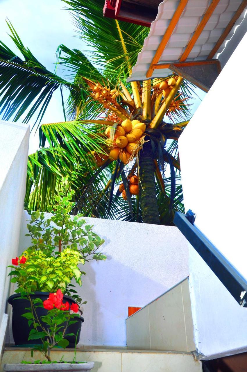 Senero House Ξενοδοχείο Μπεντότα Εξωτερικό φωτογραφία